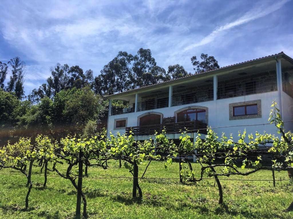 quinta da quinta, private room Vieira do Minho Esterno foto